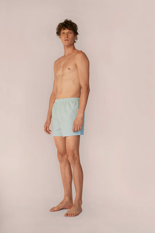 Cotton Boxers - Striped - Apple Green