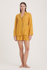 Ocher Yellow