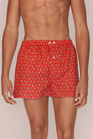 Ultra-Light Cotton Boxers - Zebra Print - Raspberry Red