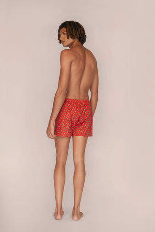 Ultra-Light Cotton Boxers - Zebra Print - Raspberry Red