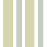 Yellow/Gray